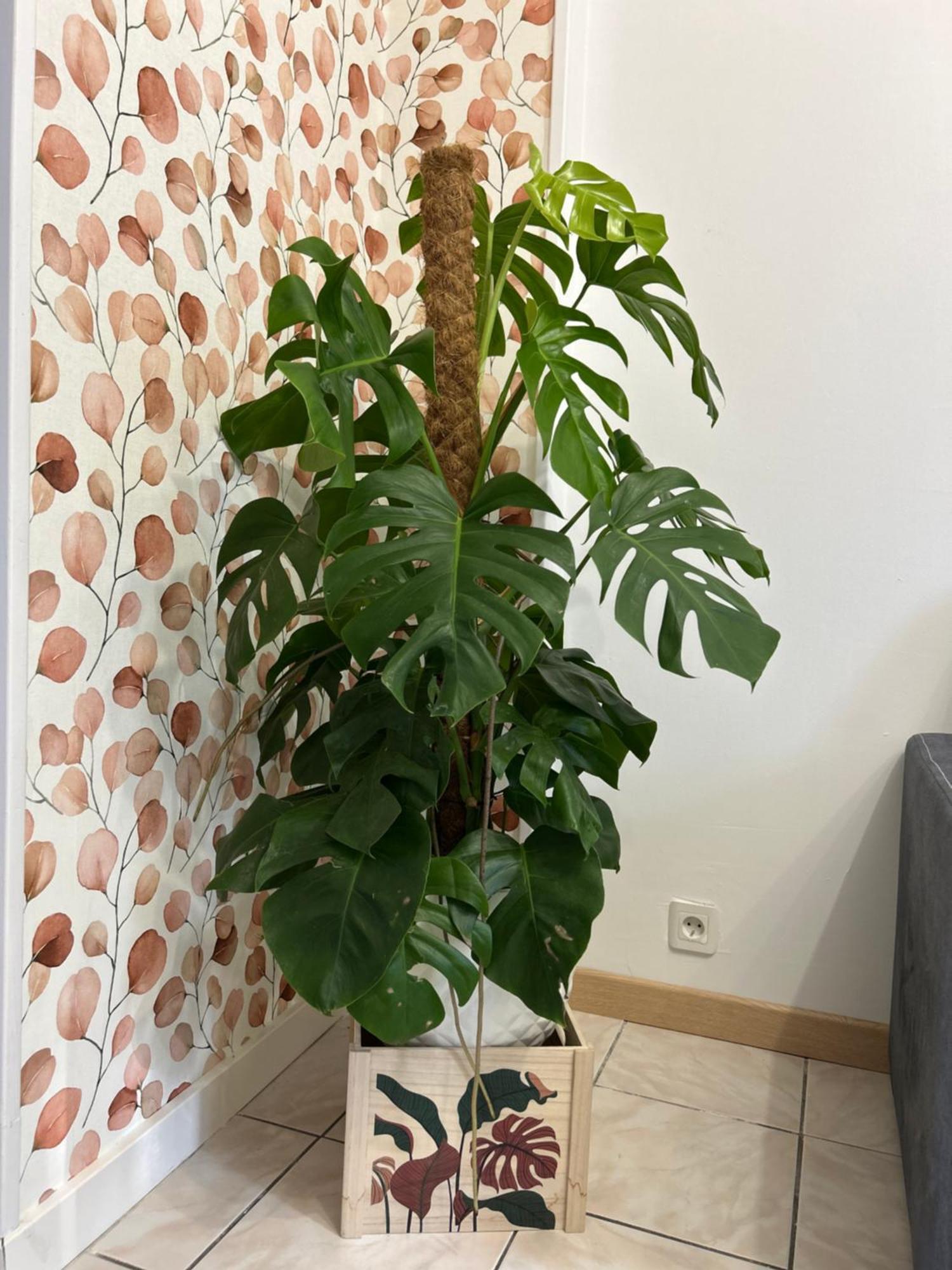 Home Lyla Ντιζόν Εξωτερικό φωτογραφία